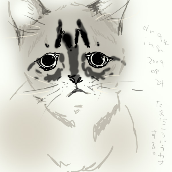 draw
