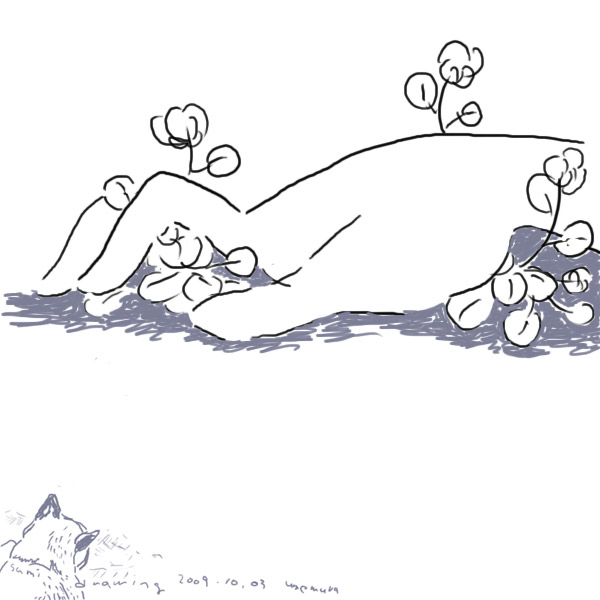 draw
